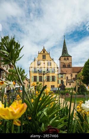 Rathaus, Turckheim, Grand Est, Haut-Rhin, Elsass, Frankreich Stockfoto