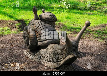 Riesige hölzerne Schneckenskulptur, das Arboretum, Bute Park, Cardiff. Stockfoto