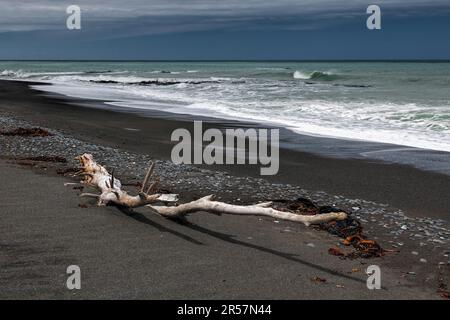 Treibholz auf rarangi Strand Stockfoto