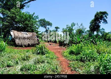 Comunidad aborigen Jejy miri in Misiones, Argentinien Stockfoto