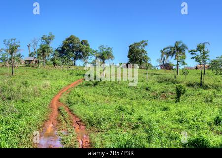 Comunidad aborigen Jejy miri in Misiones, Argentinien Stockfoto