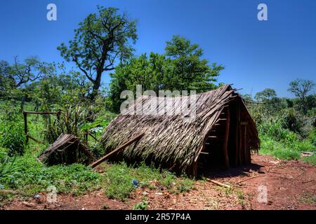 Comunidad aborigen Jejy miri in Misiones, Argentinien Stockfoto