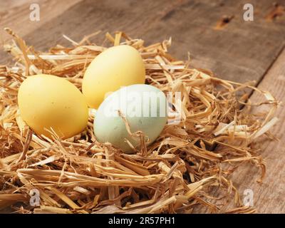 Mit natürlichen Farbstoffen selbst gefärbte Bio-Eier in einem Strohnest, Urlaub oder gesunde Ernährung Konzept Stockfoto