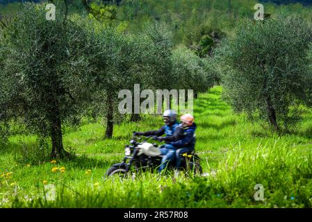 In den toskanischen Hügeln mit dem Motorrad, entspannende Urlaubsatmosphäre, die die malerische ländliche Landschaft mit Olivenbäumen in eindrucksvollen Perspektiven entdeckt Stockfoto
