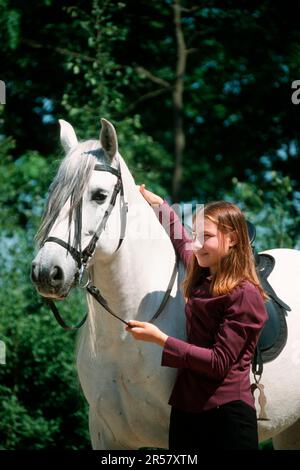 Andalusisches Mädchen, Gelding, PRE, Pura Raza Espanol, grau, Zauber Stockfoto