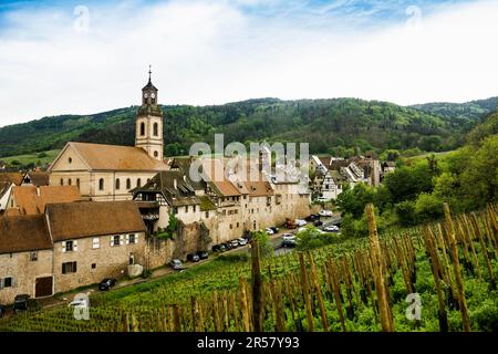 Mittelalterliches Dorf in den Weinbergen, Riquewihr, Grand Est, Haut-Rhin, Elsass, Frankreich Stockfoto