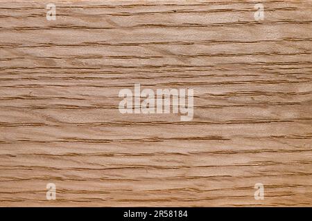 Rotes Eichenholz (Quercus rubra) Stockfoto