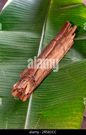 Zimt auf Bananenblatt, neugieriger echter Zimtbaum (Cinnamomum verum), Madagaskar, Afrika Stockfoto