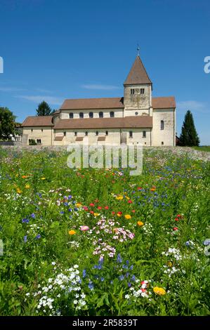 St. George's Church in Oberzell, Reichenau Island, Bodensee, Baden-Württemberg, Deutschland Stockfoto