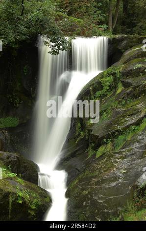 Triberger Wasserfall im Schwarzwald Stockfoto