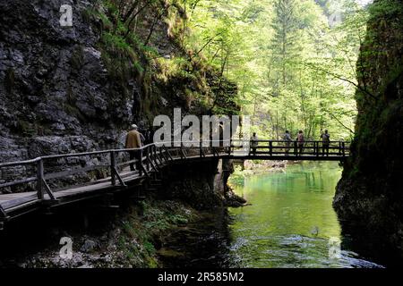 Vintgar Gorge, Triglav Nationalpark, Carniola, Carniola, Slowenien Stockfoto