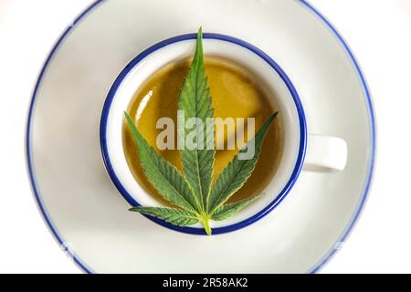 Hellgrünes Marihuana-Blatt auf blauem weißen Becher Stockfoto