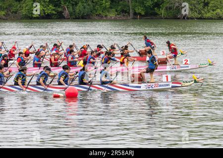 Washington, DC - der Beginn eines 200 Meter langen Rennens während des DC Dragon Boat Festival auf dem Potomac River. Drachenbootfahren ist eine 2300 Jahre alte chinesische Tradition Stockfoto