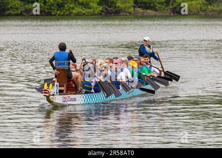 Washington, DC - das DC Dragon Boat Festival auf dem Potomac River. Drachenbootfahren ist eine 2300 Jahre alte chinesische Tradition. Das Washington-Festival ist vorbei Stockfoto