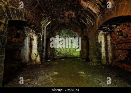 Verlassener Old East Buxton Lime Ofen am Monsal Trail im Peak District National Park Stockfoto