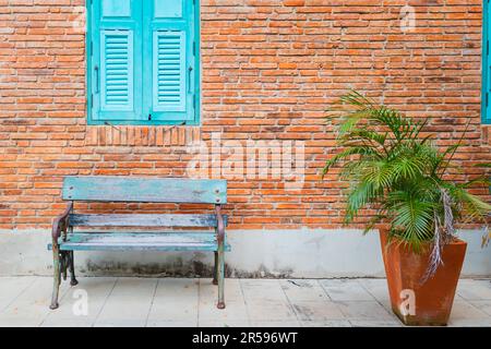 Leere Bank und dekorativer Baum auf Backsteinwänden mit Fenster. Stockfoto