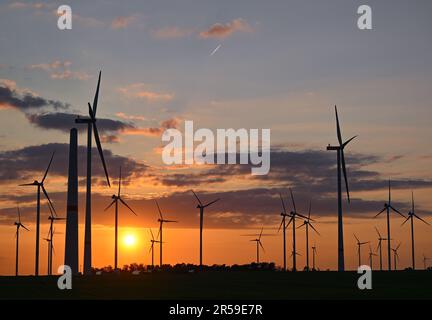 Jacobsdorf, Deutschland. 01. Juni 2023. Eine Windfarm bei Sonnenuntergang. Nach Angaben des Bundesverbands WindEnergie e.V. (Deutscher Windenergieverband) liegt der Bundesstaat Brandenburg an zweiter Stelle unter den Bundesländern mit der größten installierten Kapazität von Windkraftanlagen. Somit wird etwa ein Drittel des Strombedarfs aus Windenergie erzeugt. Mit über 7.864 MW (Megawatt) der installierten Gesamtleistung liegt Brandenburg heute nach Niedersachsen an zweiter Stelle. Kredit: Patrick Pleul/dpa/Alamy Live News Stockfoto