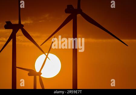 Jacobsdorf, Deutschland. 01. Juni 2023. Windturbinen bei Sonnenuntergang. Nach Angaben des Bundesverbands WindEnergie e.V. (Deutscher Windenergieverband) liegt der Bundesstaat Brandenburg an zweiter Stelle unter den Bundesländern mit der größten installierten Kapazität von Windkraftanlagen. Somit wird etwa ein Drittel des Strombedarfs aus Windenergie erzeugt. Mit über 7.864 MW (Megawatt) der installierten Gesamtleistung liegt Brandenburg heute nach Niedersachsen an zweiter Stelle. Kredit: Patrick Pleul/dpa/Alamy Live News Stockfoto