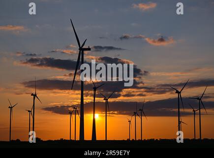 Jacobsdorf, Deutschland. 01. Juni 2023. Eine Windfarm bei Sonnenuntergang. Nach Angaben des Bundesverbands WindEnergie e.V. (Deutscher Windenergieverband) liegt der Bundesstaat Brandenburg an zweiter Stelle unter den Bundesländern mit der größten installierten Kapazität von Windkraftanlagen. Somit wird etwa ein Drittel des Strombedarfs aus Windenergie erzeugt. Mit über 7.864 MW (Megawatt) der installierten Gesamtleistung liegt Brandenburg heute nach Niedersachsen an zweiter Stelle. Kredit: Patrick Pleul/dpa/Alamy Live News Stockfoto