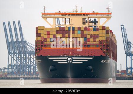 Das größte Frachtschiff der Welt MSC Loreto verlässt den Hafen von Felixstowe in Suffolk, nachdem ihr Mädchenruf nach Großbritannien kam. Das Schiff, das den Titel des größten der Welt mit seinem Schwesterschiff MSC Irina teilt, ist 400 Meter lang und kann mehr als 24.346 Container aufnehmen. Sie begann ihre Jungfernfahrt von Ningbo, China, am 19. April. Foto: Freitag, 2. Juni 2023. Stockfoto