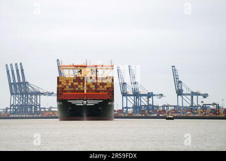 Das größte Frachtschiff der Welt MSC Loreto verlässt den Hafen von Felixstowe in Suffolk, nachdem ihr Mädchenruf nach Großbritannien kam. Das Schiff, das den Titel des größten der Welt mit seinem Schwesterschiff MSC Irina teilt, ist 400 Meter lang und kann mehr als 24.346 Container aufnehmen. Sie begann ihre Jungfernfahrt von Ningbo, China, am 19. April. Foto: Freitag, 2. Juni 2023. Stockfoto