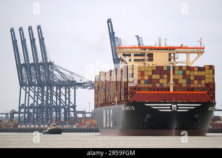 Das größte Frachtschiff der Welt MSC Loreto verlässt den Hafen von Felixstowe in Suffolk, nachdem ihr Mädchenruf nach Großbritannien kam. Das Schiff, das den Titel des größten der Welt mit seinem Schwesterschiff MSC Irina teilt, ist 400 Meter lang und kann mehr als 24.346 Container aufnehmen. Sie begann ihre Jungfernfahrt von Ningbo, China, am 19. April. Foto: Freitag, 2. Juni 2023. Stockfoto