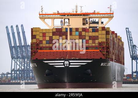 Das größte Frachtschiff der Welt MSC Loreto verlässt den Hafen von Felixstowe in Suffolk, nachdem ihr Mädchenruf nach Großbritannien kam. Das Schiff, das den Titel des größten der Welt mit seinem Schwesterschiff MSC Irina teilt, ist 400 Meter lang und kann mehr als 24.346 Container aufnehmen. Sie begann ihre Jungfernfahrt von Ningbo, China, am 19. April. Foto: Freitag, 2. Juni 2023. Stockfoto