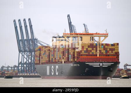 Das größte Frachtschiff der Welt MSC Loreto verlässt den Hafen von Felixstowe in Suffolk, nachdem ihr Mädchenruf nach Großbritannien kam. Das Schiff, das den Titel des größten der Welt mit seinem Schwesterschiff MSC Irina teilt, ist 400 Meter lang und kann mehr als 24.346 Container aufnehmen. Sie begann ihre Jungfernfahrt von Ningbo, China, am 19. April. Foto: Freitag, 2. Juni 2023. Stockfoto