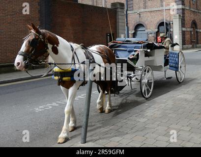 Eine Pferdekutsche in St. James's Gate Brewery in Dublin, Irland. Stockfoto