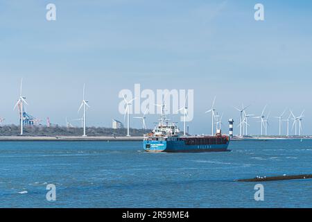 Windturbinen in Maasvlakte Rotterdam nutzen Windkraft zur Energieerzeugung. Grüne Energie. Alternativen zu fossilen Brennstoffen. Hochwertiges Foto Stockfoto