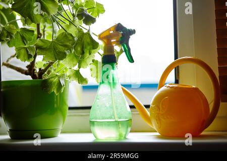 Zimmerpflanzen, Plastik-Wassersprühgerät und eine Gießkanne auf der Fensterbank. Blumenpflege im Innenbereich und Heimgärten Stockfoto