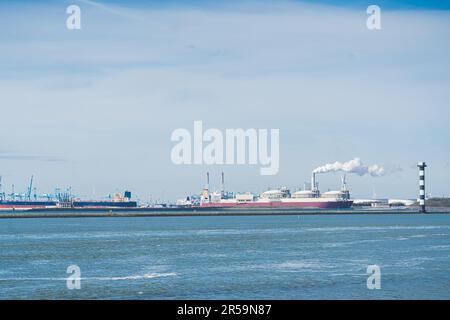 Maasvlakte Rotterdam - größter Seehafen in Europa mit anlegenden Kreuzfahrtschiffen. Perspektive vom Meer. Wolkiger Himmel. Hochwertiges Foto Stockfoto