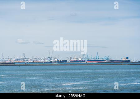 Verschiedene Kreuzfahrtschiffe in Maasvlakte Rotterdam aus der Ferne gesehen. Ruhige Meeresgewässer der Niederlande. Der Hafen von Rotterdam. Hochwertiges Foto Stockfoto
