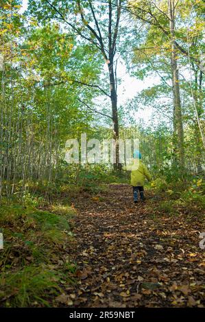 Ein Junge mit grünem Mantel und blauem Hut auf einer Waldrodung Stockfoto