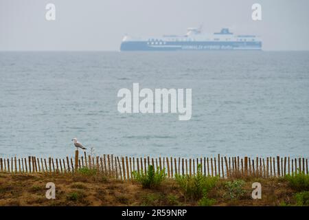 El Prat de Llobregat, Spanien, 1, Juni 2023. Spanien-Barcelona-Josep Tarradellas Flughafen Barcelona-El Prat. Kredit: Joan G/Alamy Live News Stockfoto