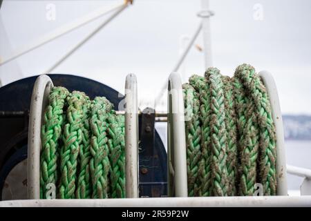 Grüne Anlegestellen an Fässern Stockfoto