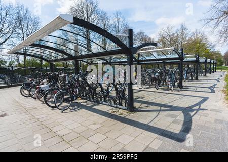 Viele Fahrräder hielten auf dem Amsterdamer Fahrradparkplatz im Freien. Schönes Wetter in den Niederlanden. Transportmöglichkeiten. Hochwertiges Foto Stockfoto