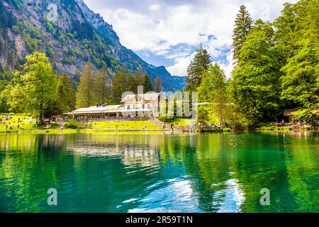 Klares, azurblaues Wasser des Blausee Sees (Blauer See), umgeben von alpinen Wäldern, Schweiz Stockfoto