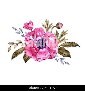 Anemone. Handbemalte Blumenelemente. Aquarelle botanische Darstellung von Eukalyptus, Tulpe, Pfingstrose, Rose, Anemonblüten und Blättern Stockfoto