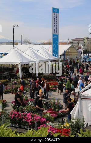 Die Blumenshow - Florviva 2023 fand vom 23. Bis 25. April im Marina di Pescara Tourist Port statt. Das wichtigste florovivaistische Ereignis in Centr Stockfoto