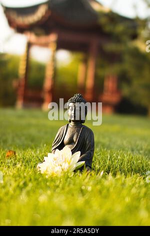 buddha mit weißen Lotos Blüten auf einer Wiese in einem chinesischen Garten Stockfoto