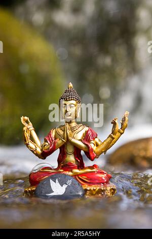 Sechsarmige buddha im Wasser, Stein mit Friedentaube Stockfoto