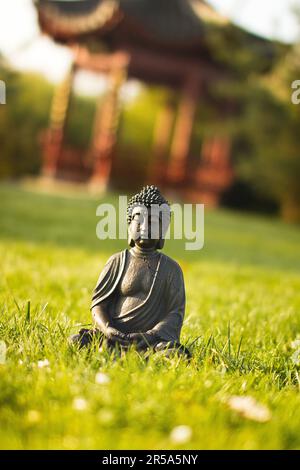 buddha auf einer Wiese in einem chinesischen Garten Stockfoto