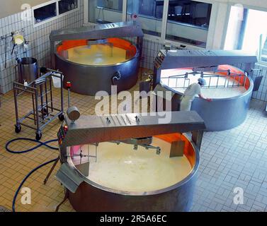 Käseherstellung in einer kleinen genossenschaftlichen Käserei in Frankreich, Savoie, Bourg Saint Maurice Stockfoto