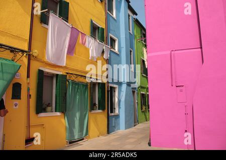 Venedigs Katzen und farbenfrohe Gebäude Stockfoto