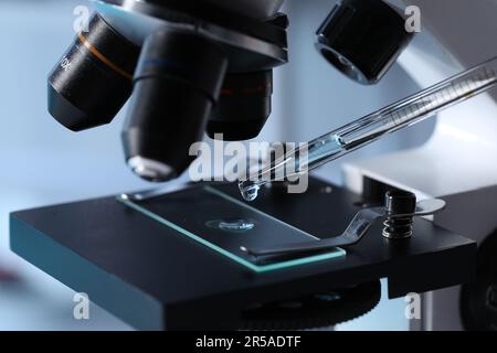 Die hellblaue Flüssigkeit wird aus der Pipette auf einen Glasobjektträger im Labor abgetropft Stockfoto