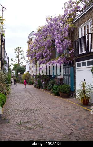 London, Großbritannien - 27. April 2022: Terrassenhäuser in einer Kopfsteinpflasterstraße der Kenance Mews in Souih Kensington. Stockfoto