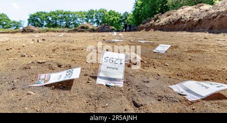 Kropp, Deutschland. 02. Juni 2023. Die Markierungen auf dem Ausschachtungsbereich zeigen an, wo sich die Pfähle und Balken der Siedlungshäuser befanden. Neben mehreren einzelnen Häusern wurden bis jetzt zwei vollständig erhaltene Bauernhöfe mit einem Stallhaus, Zäunen, mehreren Nebengebäuden und zugehörigen Brunnen aus der Zeit zwischen dem 3. Und 5. Jahrhundert entdeckt und dokumentiert. Kredit: Markus Scholz/dpa/Alamy Live News Stockfoto