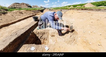 Kropp, Deutschland. 02. Juni 2023. Der Ausgrabungsexperte Werner Gehrke entdeckt einen Pfosten eines Boxenhauses. Neben mehreren einzelnen Häusern wurden hier zwei vollständig erhaltene Bauernhöfe mit einem Stallhaus, Zäunen, mehreren Nebengebäuden und zugehörigen Brunnen aus dem 3. Bis 5. Jahrhundert entdeckt und dokumentiert. Kredit: Markus Scholz/dpa/Alamy Live News Stockfoto