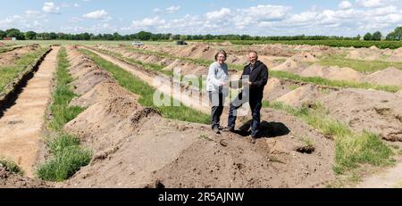 Kropp, Deutschland. 02. Juni 2023. Stefanie Kloß, Abteilungsleiterin des Staatlichen Archäologischen Amtes und Ausgrabungsdirektor Alexander Maass stehen vor dem Ausgrabungsgebiet, das von Suchschnitten durchkreuzt wird. Neben mehreren Einzelhäusern wurden zwei vollständig erhaltene Bauernhöfe mit einem Stallhaus, Zäunen, mehreren Nebengebäuden und zugehörigen Brunnen aus der Zeit zwischen dem 3. Und 5. Jahrhundert entdeckt und dokumentiert. Kredit: Markus Scholz/dpa/Alamy Live News Stockfoto